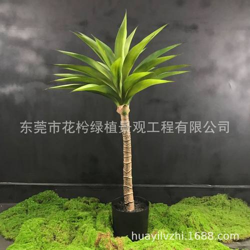 仿真植物客厅盆栽仿真橱窗摆件室内造景装饰落地绿红剑麻龙舌兰