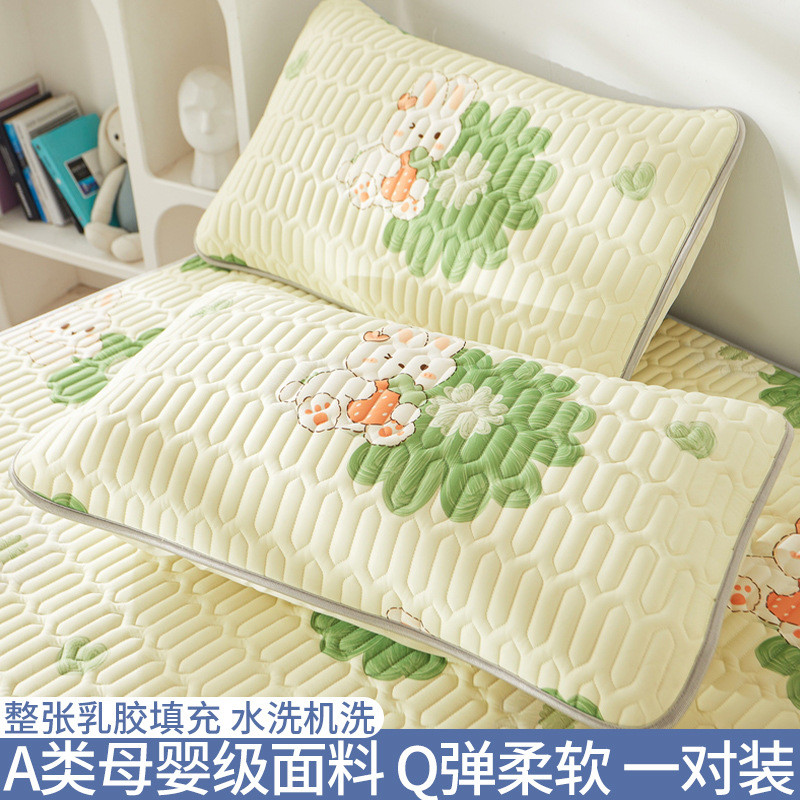 2023新款枕套一对装凉感丝夏季48cm×74cm乳胶凉席枕头套子可水洗