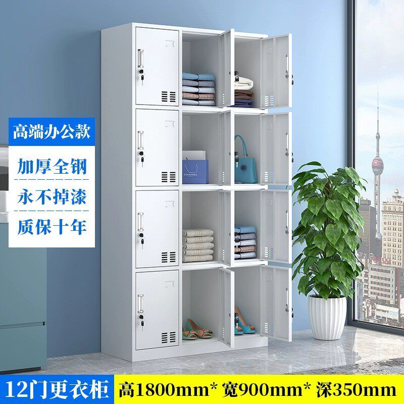 钢制二门更衣柜家用带锁柜物储存寄存工厂员工换衣柜铁皮卧室衣柜