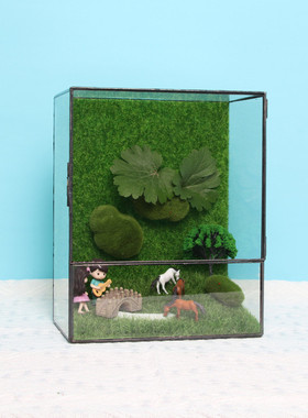 侧开门矩形玻璃森林微景观苔藓墙玻璃缸植物微缩花房造景生态瓶