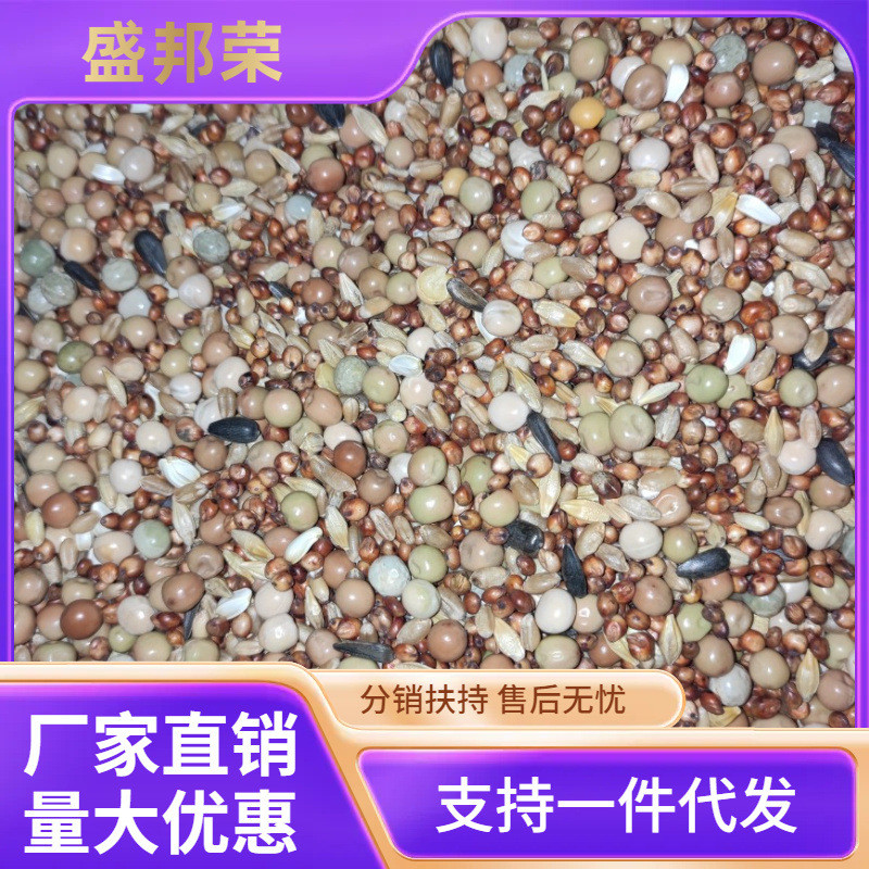 粮良德易鸽粮无玉米幼鸽鸽料鸽子信鸽粮饲料鸟食50斤装包邮