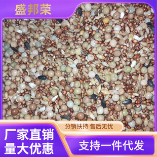 粮良德易鸽粮无玉米斤鸽料鸽子粮信鸽饲料鸟食50幼鸽装包邮
