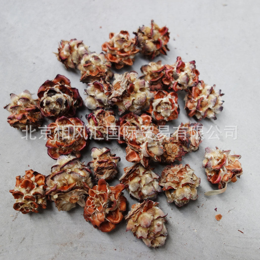 【木莲花】进口干花天然植物自然花家居摆设装饰插花拍照道具