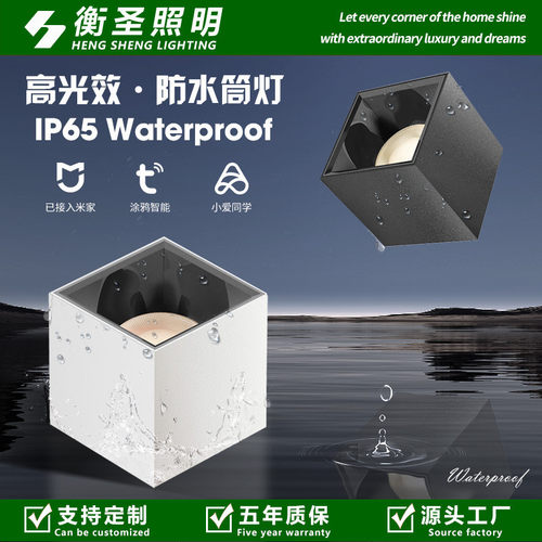 IP65明装防水筒灯卫生间厨房防水雾防潮天花灯吸顶高光效方形筒灯