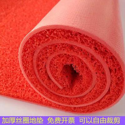 地垫大面积室外红地毯塑料丝圈垫子防水门口垫进门迎宾脚垫防联严