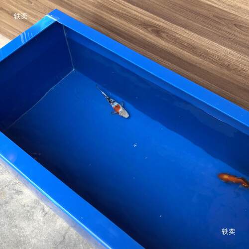 热销pp塑料板海鲜池大型观赏乌龟箱锦鲤池鱼池水箱过滤盒定.制鱼
