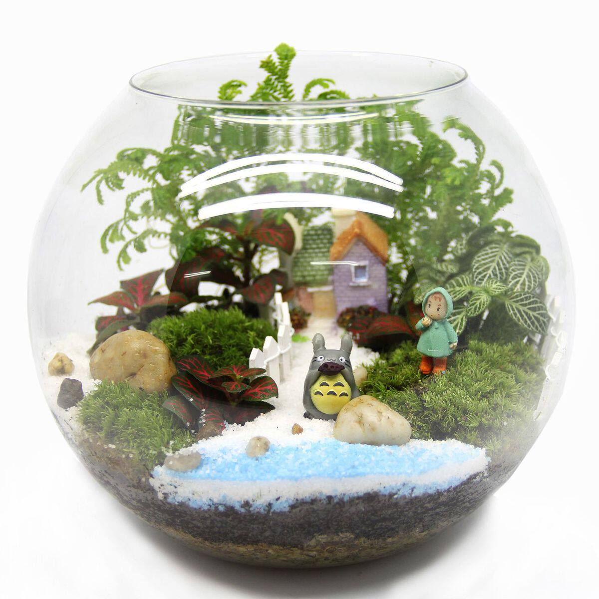 苔藓微景观造景瓶 玻璃盖瓶 情人生日礼品活植物 创意礼品材料包