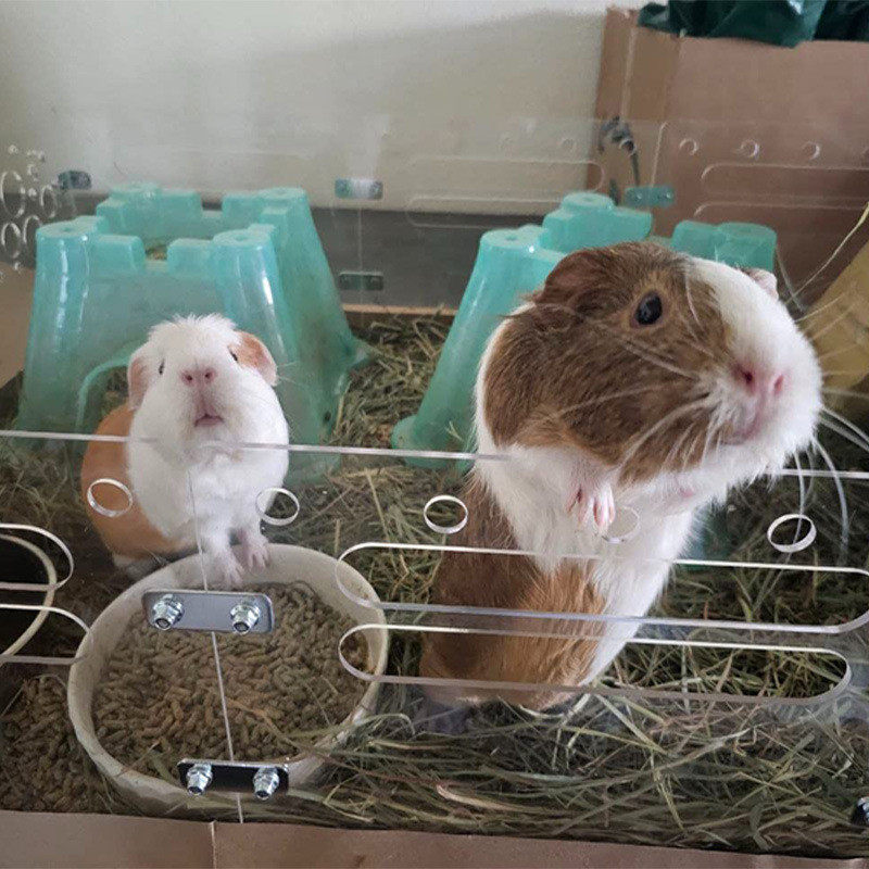 创意城堡材质全景透明仓鼠笼笼子金丝熊繁殖笼便携小亚克力