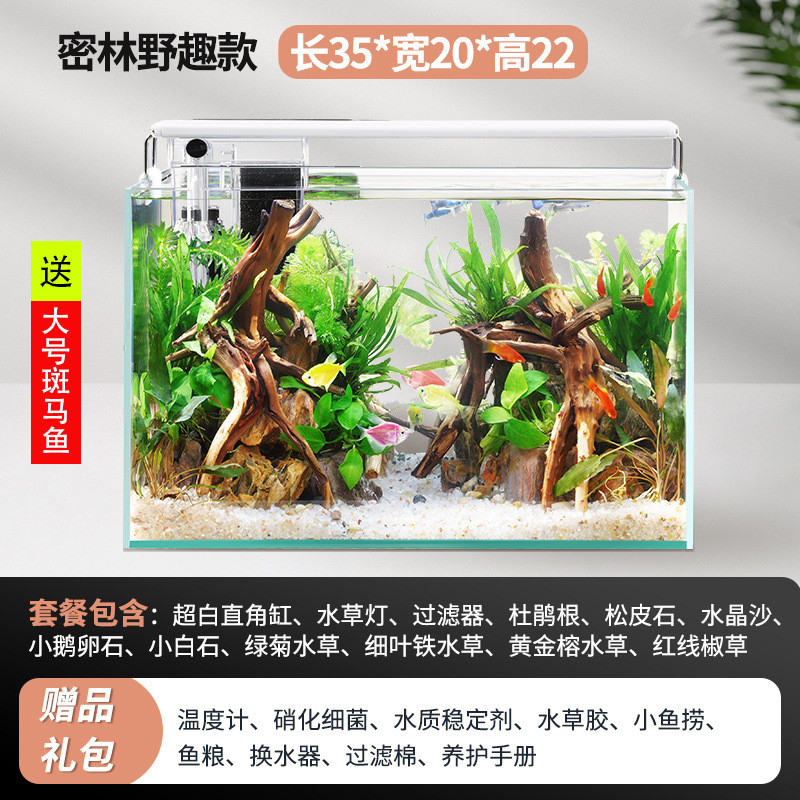 小型迷你客厅鱼缸水族箱桌面免换水生态造景家用小金鱼缸超白玻璃