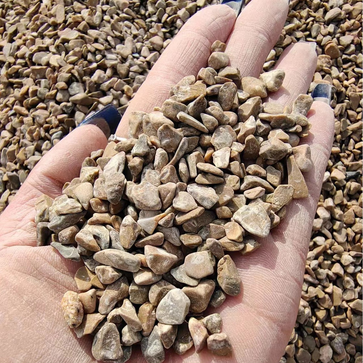 黄石水磨石地板黄碎石源头厂家批发子骨料园林工程造景石黄色砾石