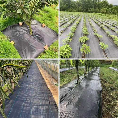 防草布聚乙烯除草地草黑色遮布布透水透气绿化园林防草地布除草布