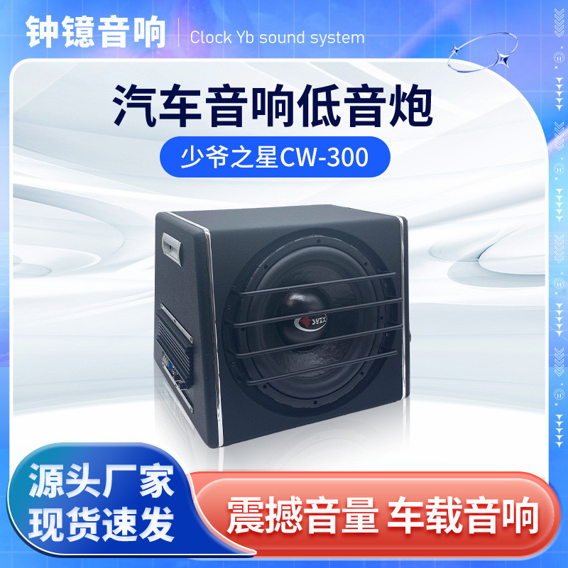 少爷之星CW-300户外广场舞音响演出k歌拉杆音箱家用客厅音箱设备