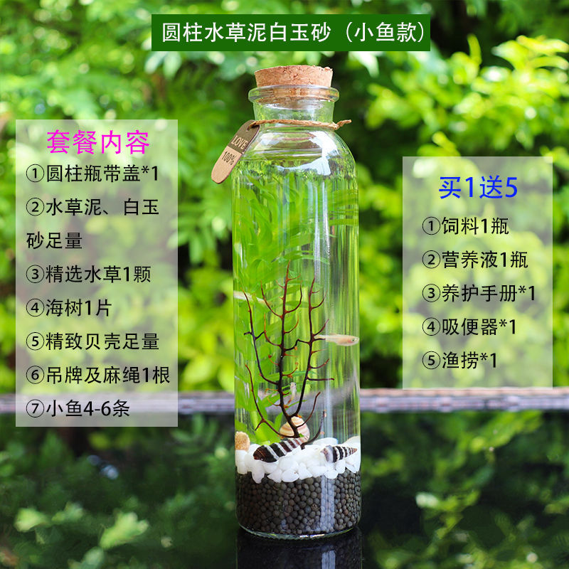 自循环生态造景桌面摆件生态瓶迷你免打理成品微景观小型玻璃鱼缸