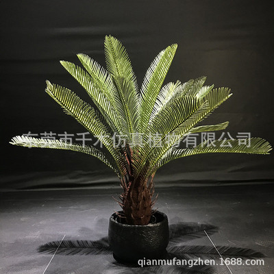个性独特红色仿真蓝色系列组合芭蕉散尾葵龟背粉色美人蕉布景