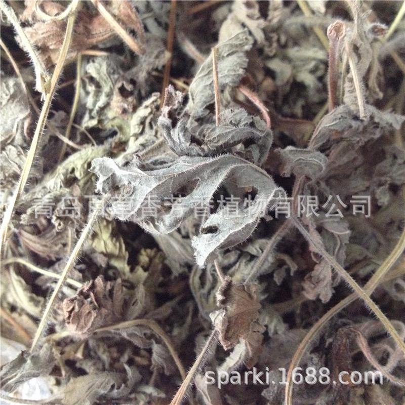 基地自然晒制2023年新香叶天竺葵干品玫瑰天竺葵干叶香草干叶袋装