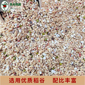 枭龙鸽粮清除a1无玉米职业赛鸽斤清除饲料信鸽鸟食鸽子食45专业