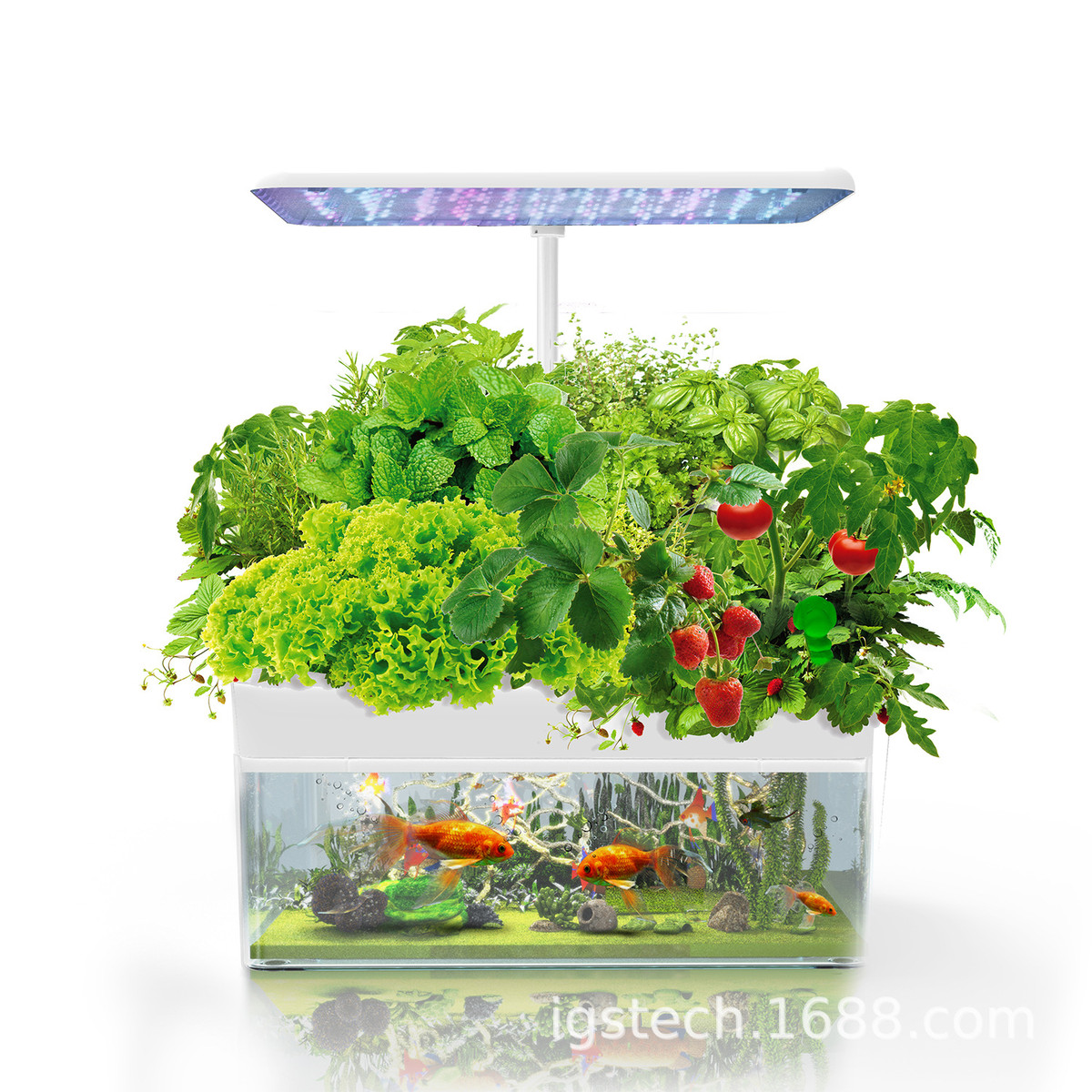 生态鱼缸-70水培植物机&igs二合一室内种植格调创意智能种植机