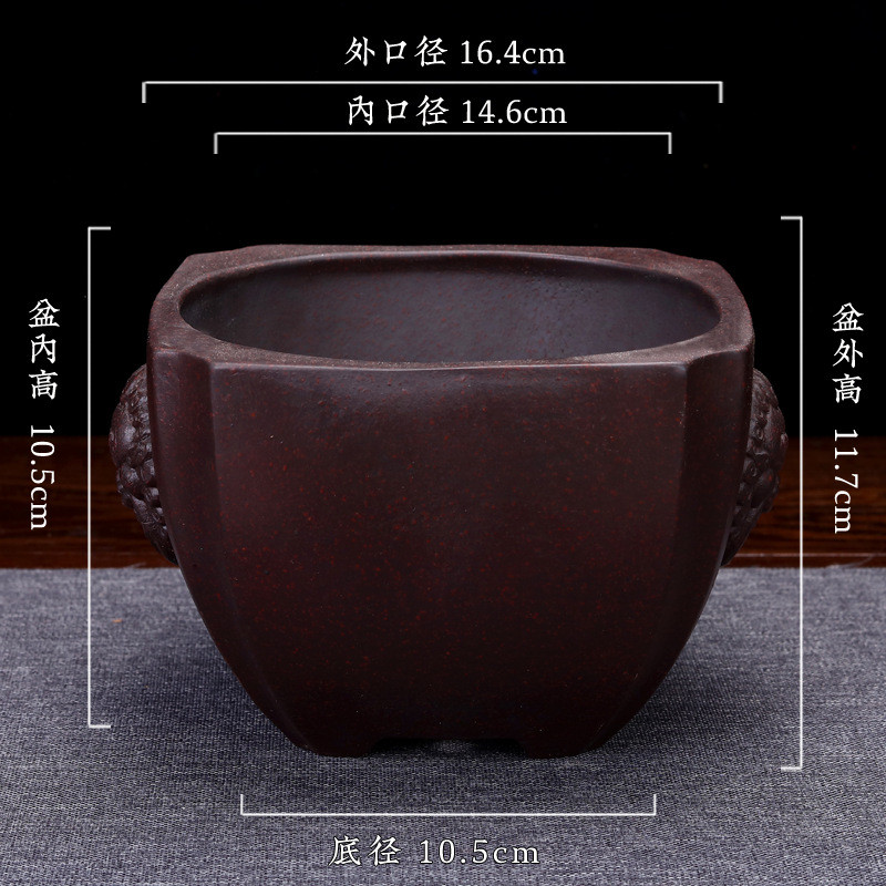 多肉精品紫砂兽头圆口透气盆景园艺客厅盆栽盆兰花宜兴创意陶瓷