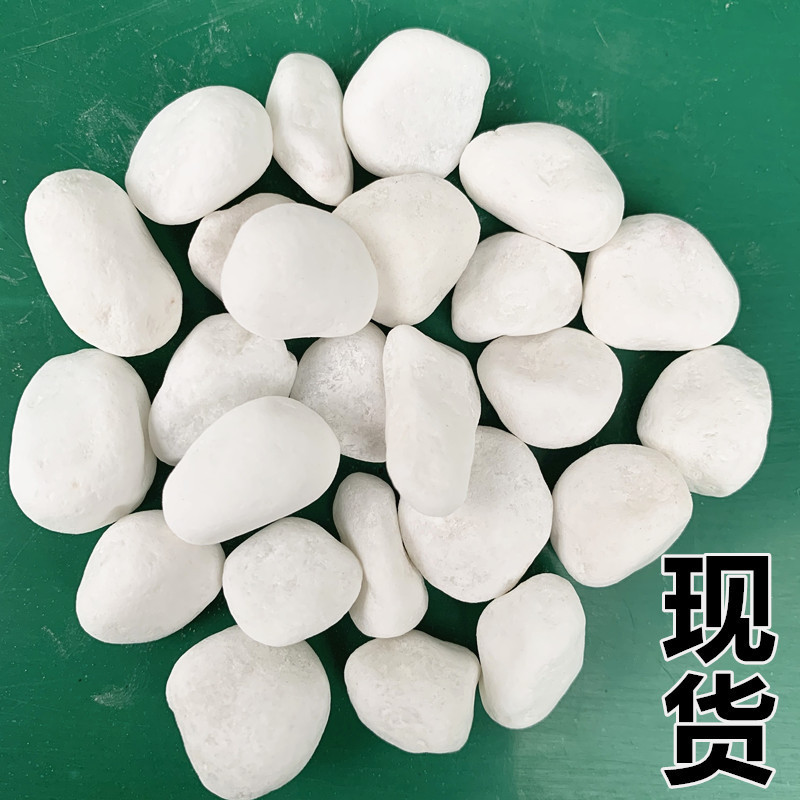 白色鹅卵石园艺白石子鱼缸造景白石头多肉铺面白石子米白石子批发