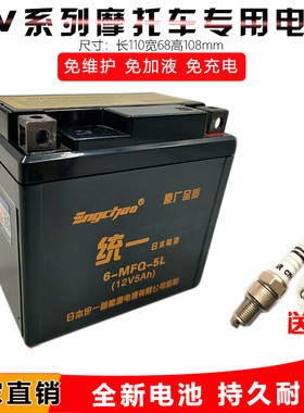 统一摩托车电瓶12V通用MTX5L-BS免维护巧格i天剑飞致150福喜as125