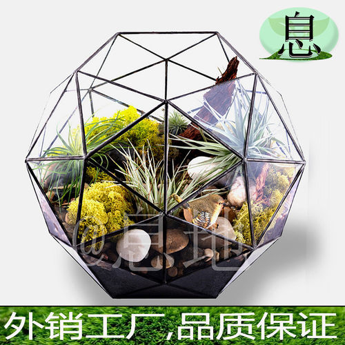 16027b花房!几何玻璃包邮微景观玻璃植物花房摆件多肉玻璃小花房