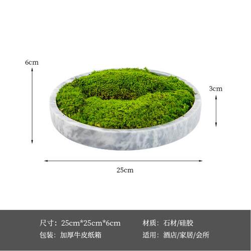 艺贝子仿真青苔绿植盆景茶几花架茶室博古架摆件新中式空间盆栽