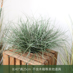 蒲草球仿真植物造景摆件店铺草假草堆景观芦苇草灌木装饰绿植园景