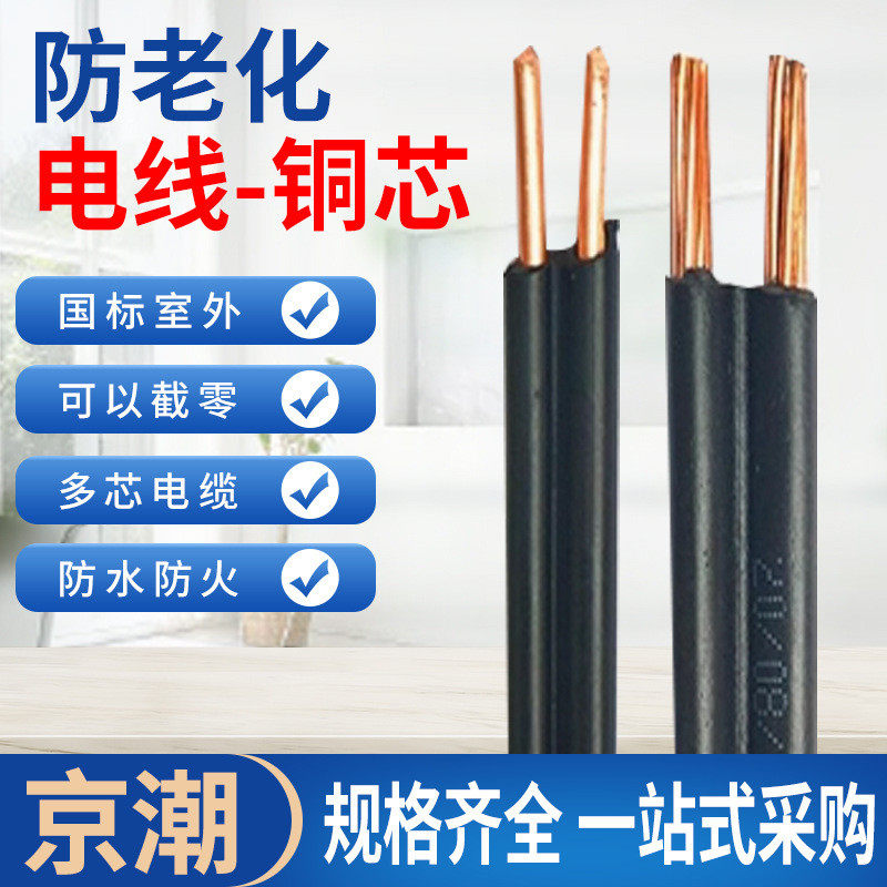 入户批发防老化电线铜芯2芯无氧铜厂家线4610平方入户防老化线