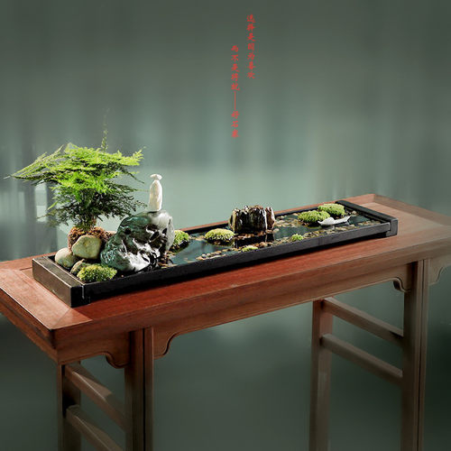 好石寨 文竹苔藓水培微景观盆 窄长方型景乌金石菖蒲盆微景绿植盆