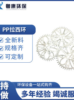 现货供应pp拉西环洗涤塔污水处理净化废气净化塔填料塑料花环
