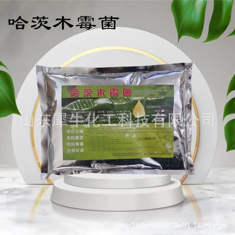 木哈茨霉菌现货供应哈茨木霉菌微生物菌剂农业土壤改良哈茨木霉菌