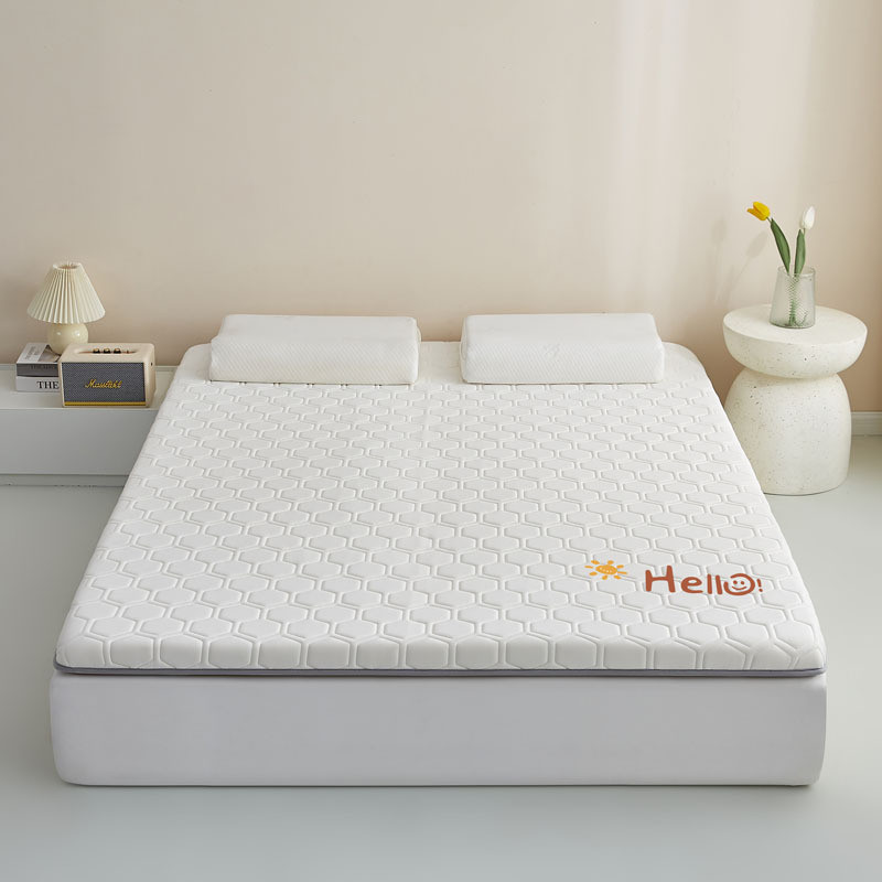 新款家用床品单边烫画针织软垫乳胶床垫棉卧室褥子垫秋冬铺底加厚