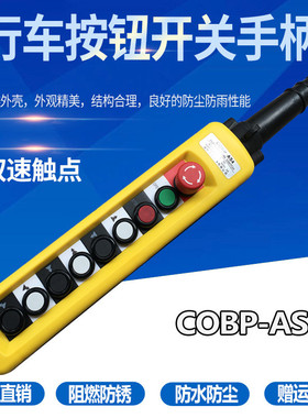 COBP-AS4(AP4)双速9键防雨防尘系控制手柄吊车控制开关行车
