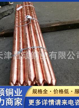 热销加工镀铜打孔棒ø30*2500铜包钢接地极接地针镀铜镀镍削尖接地