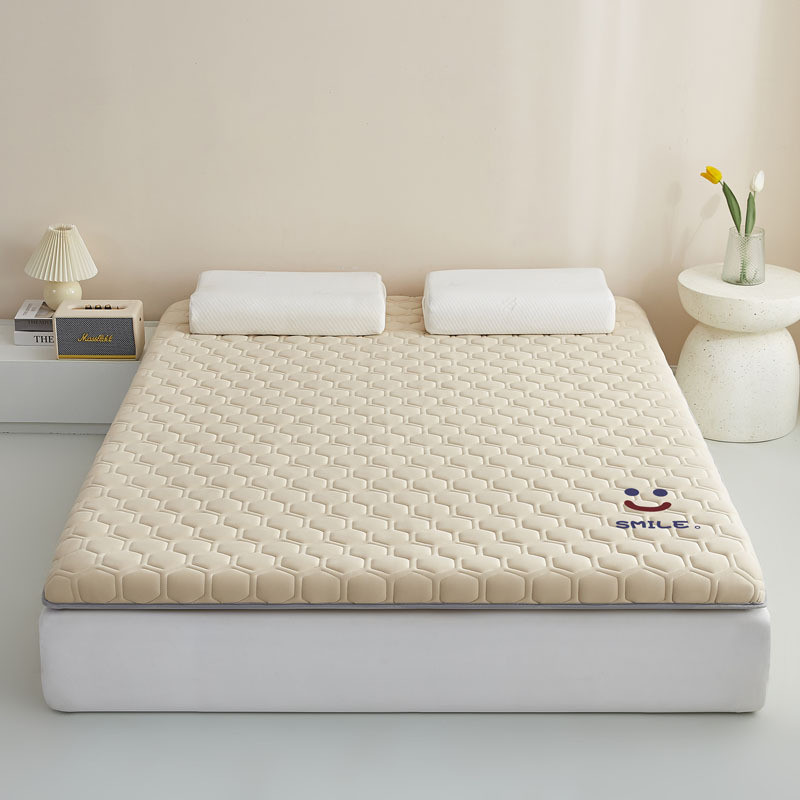新款家用床品单边烫画针织棉乳胶床垫软垫卧室褥子垫秋冬加厚铺底