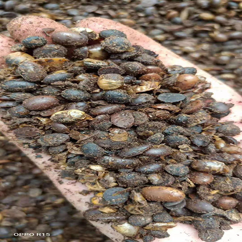厂价批发有机肥大豆发酵腐熟发酵大豆土壤改良剂生物菌肥