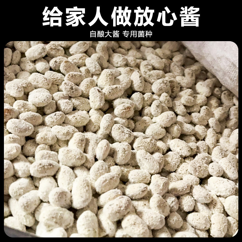 自制黄豆酱发酵粉东北大酱豆引子曲精在家自制酱油麦酱豆豉菌种