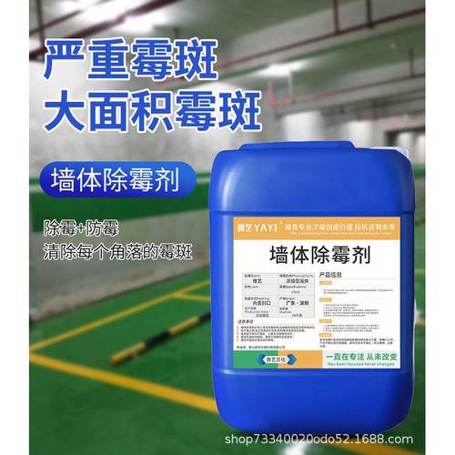 雅艺墙体除霉剂去霉变白墙霉菌清除剂多功能除霉防霉剂剂