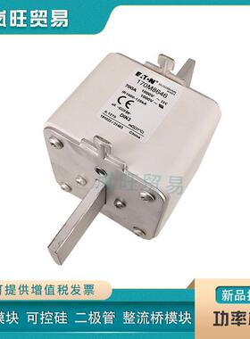 快速熔断器保险丝170M3659/3660/3661/3662/3663/3664/3665/3666