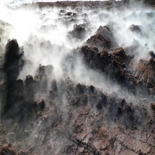 发酵腐熟羊粪蔬菜可用于瓜果有机肥料园林绿化土壤改良可就近发货