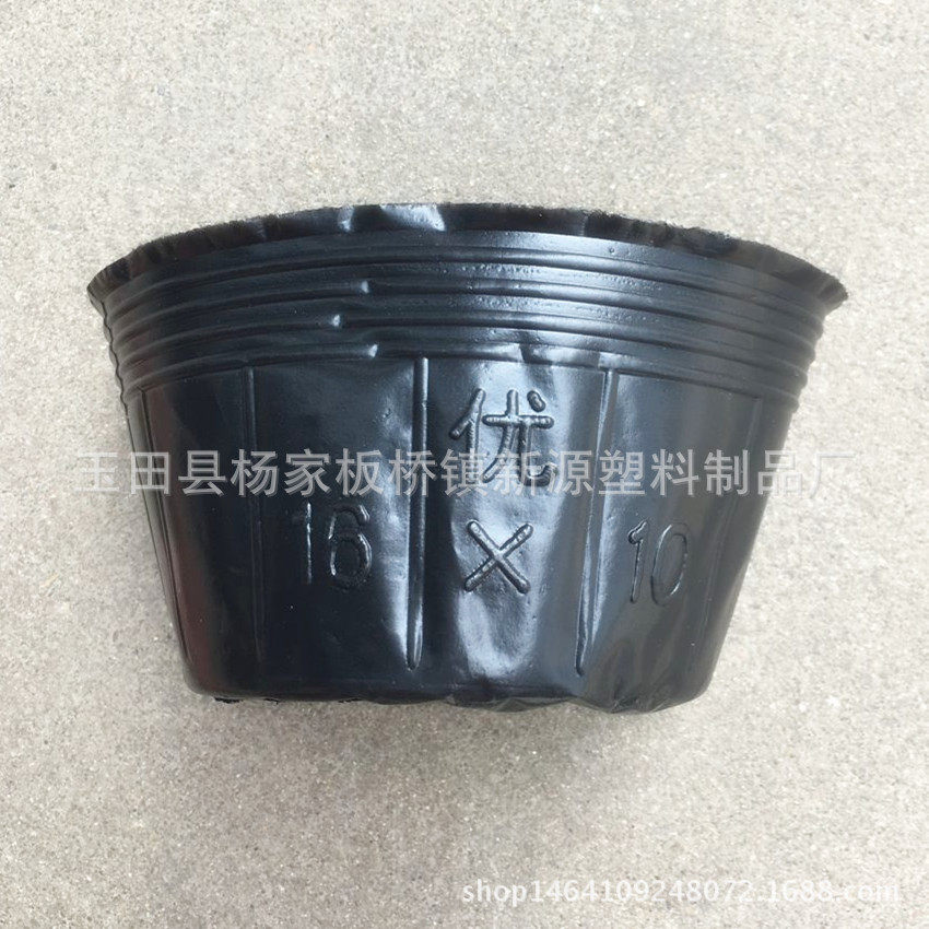 厂家供应16x10营养钵营养杯多肉育苗杯批发