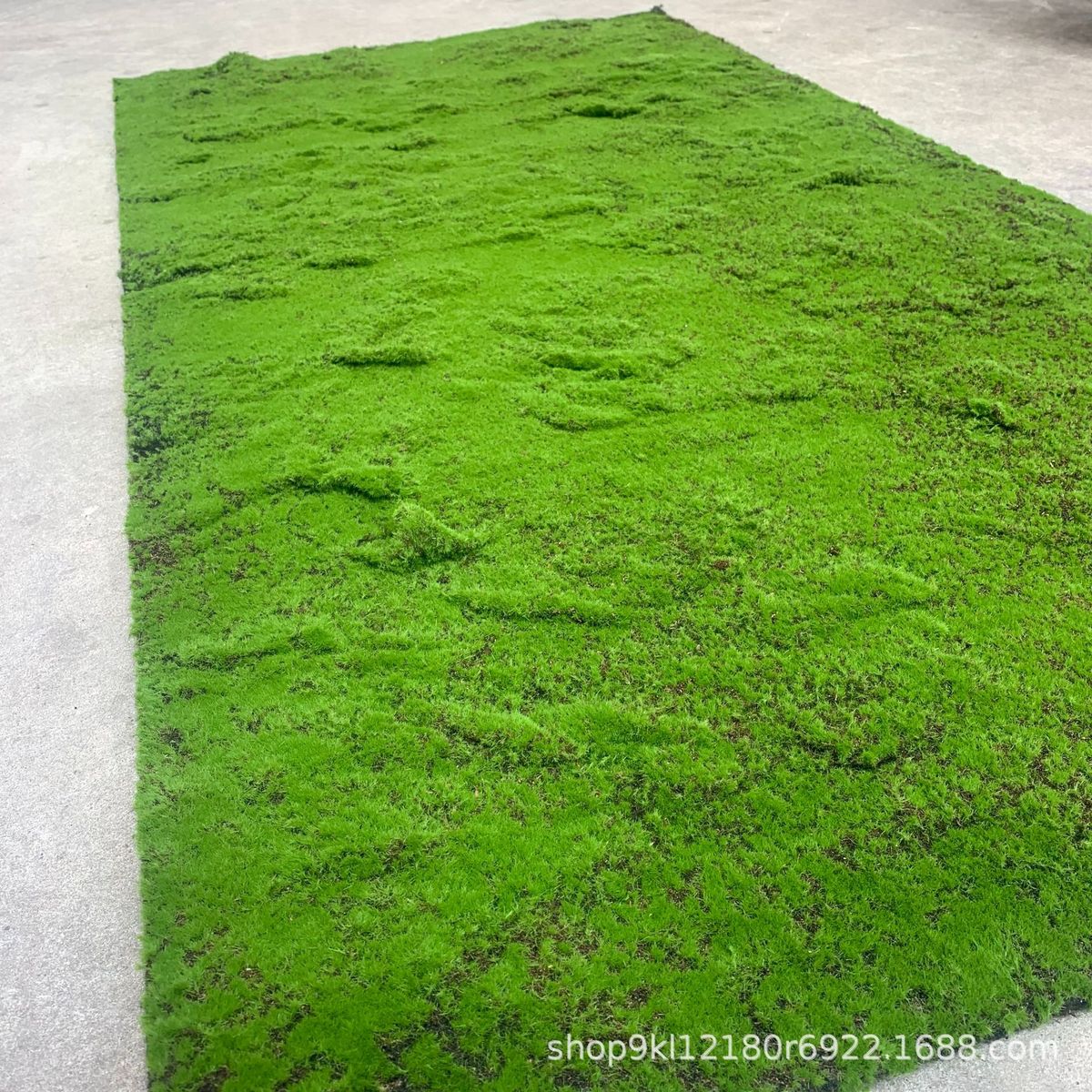 仿真苔藓仿真草皮青苔草坪绿色背景墙橱窗盆景绿植装饰人造假青苔