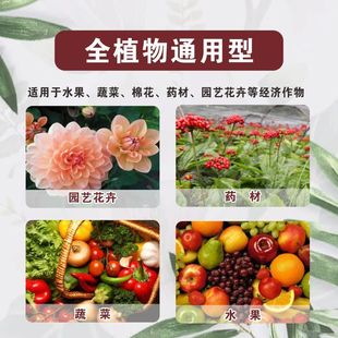 颗粒硼底肥促花促果提高坐果硼肥果树蔬菜基施追施量大从优