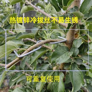 热销m型果树拉枝器拉直压弯开角别枝定型器不易重复使用可生锈