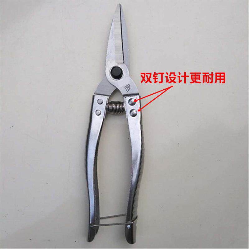 园艺工具家用铲子套装小勺松土挖土四叉二齿耙种花新款不生锈加厚,鲜花速递/花卉仿真/绿植园艺,园艺用品套装,淘宝优惠券,粉丝福利购,淘宝优惠卷