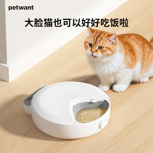 派旺四餐定时干粮湿粮保鲜冰晶盒可拆洗喂食器