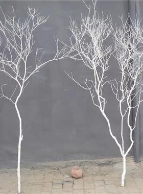 装饰干枝干树枯树干树枝白色树摆件树杆仿真树枝假树枝道具装饰树