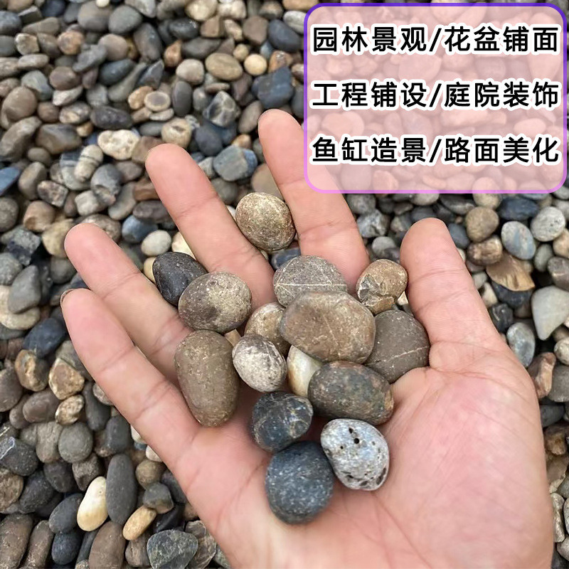 热销变压器专用水处理垫层河卵石石鱼缸造景滤料现货供应鹅卵石球
