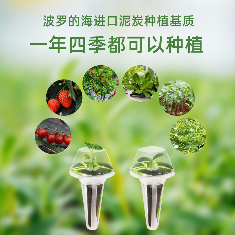 育苗基质种植棉水培种植机配件定植篮套装营养液水培种植全套产品