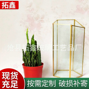 五面立柱几何形玻璃花瓶透明微景观多肉植物生态创意花盆花器